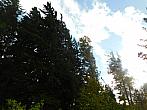 Němčice Zhoř