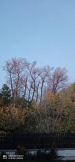 Kostelec nad Labem