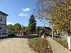 Třibřichy