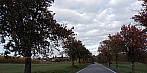 Lukovany