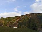Horní Lomná