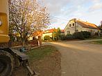 Třibřichy