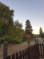 Horní Dunajovice 173