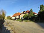 Třibřichy