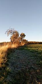 Lukovany