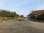 Třibřichy