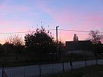 Třibřichy
