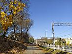 Cieszyn