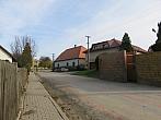 Třibřichy