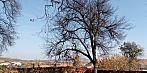 Lukovany