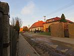 Třibřichy