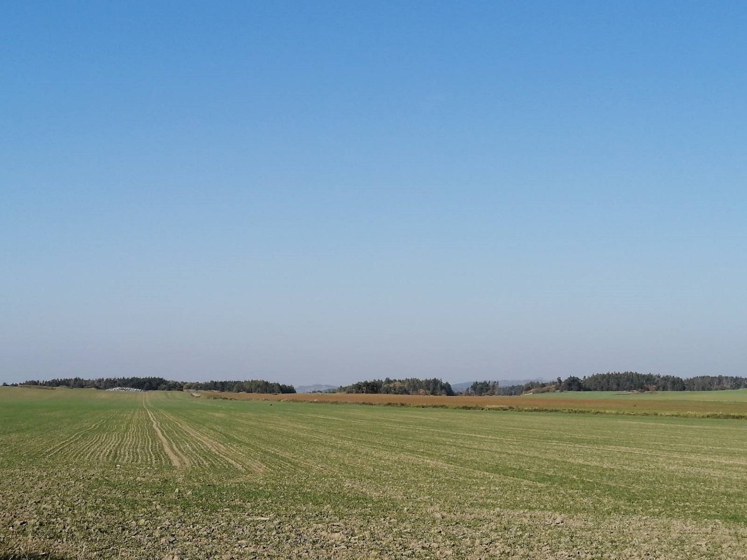 Hostákov