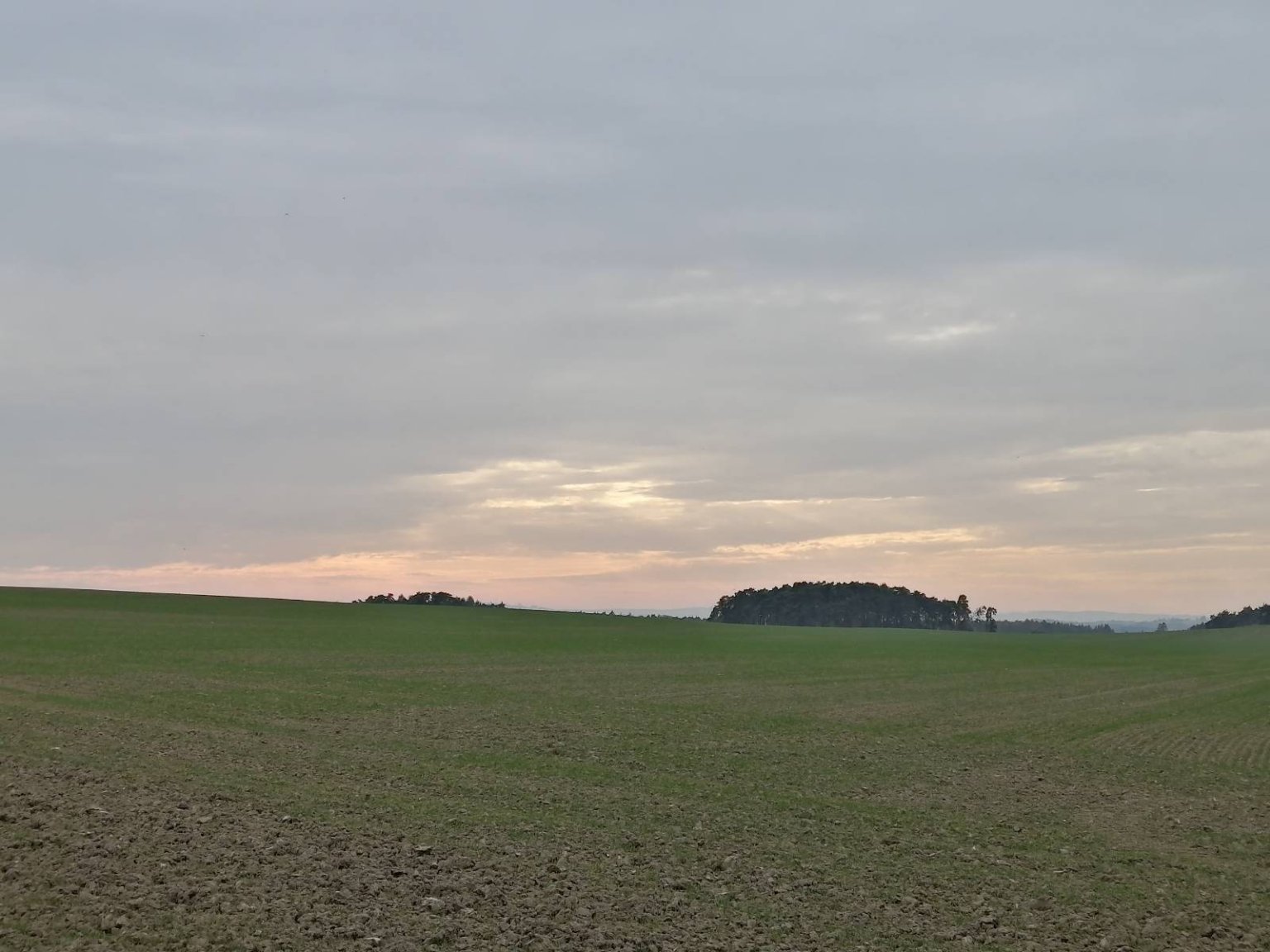 Hostákov