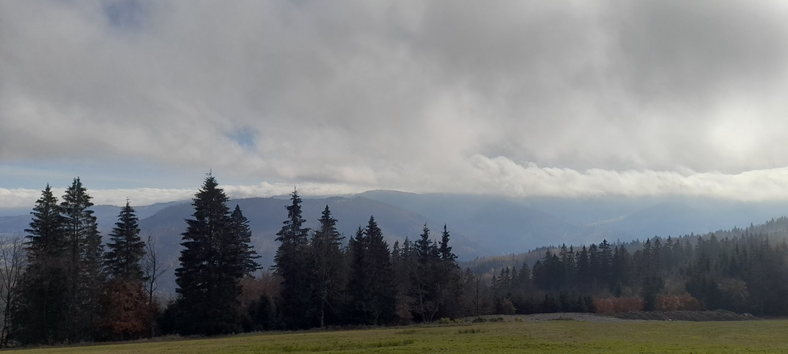 Slavič 