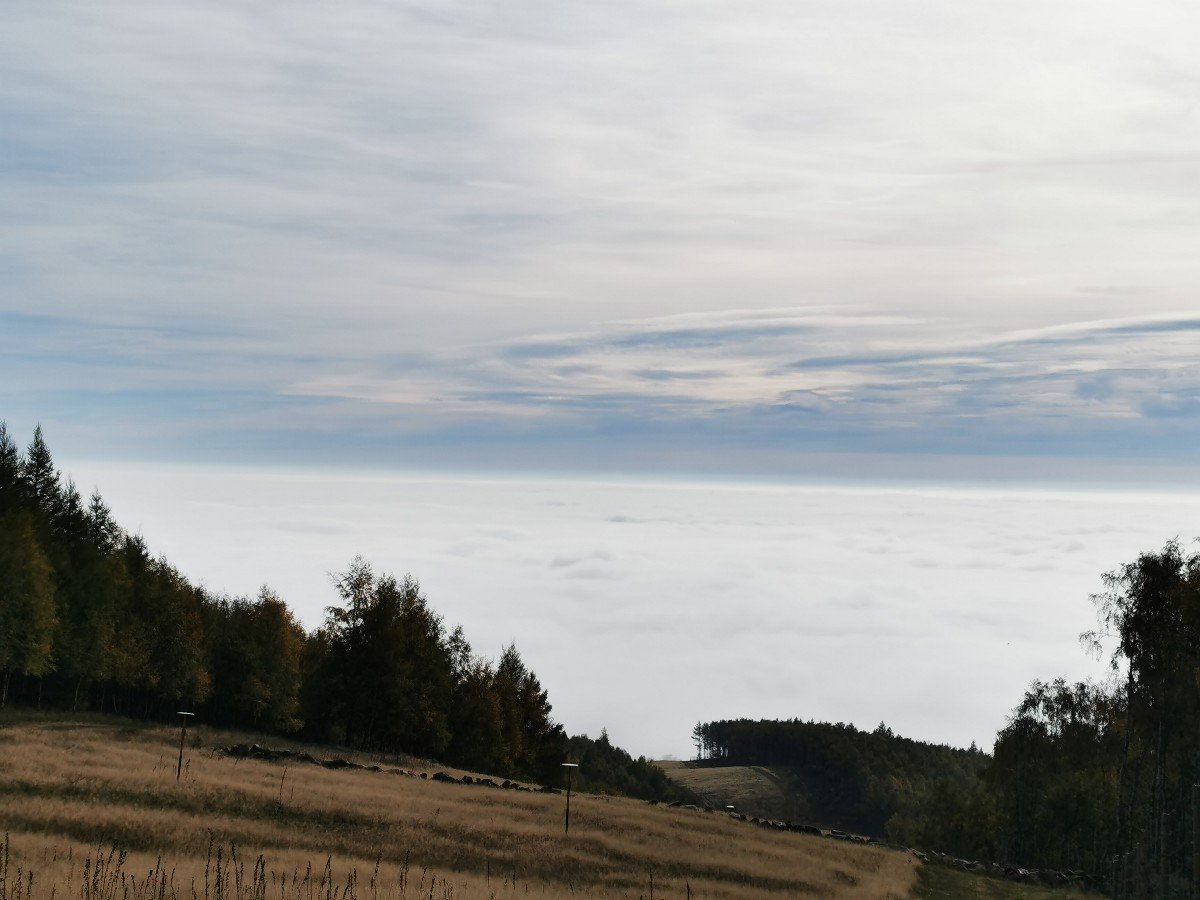 Pyšná