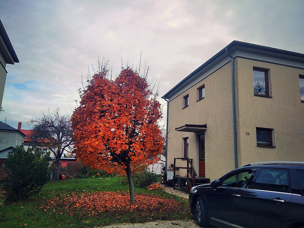 Třebíč-Borovina