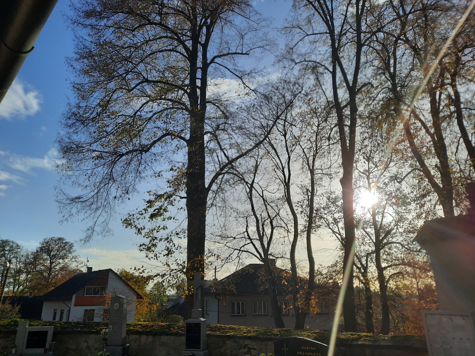 Chvojnov