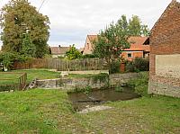 Třibřichy