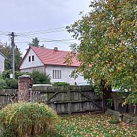 Třibřichy
