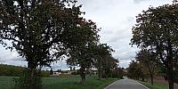 Lukovany