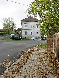 Třibřichy