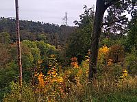 Třebíč-Borovina