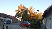 Kostelec nad Labem