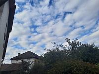 Olešná