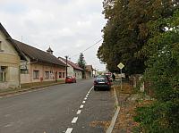 Třibřichy