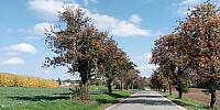Lukovany