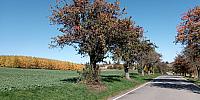 Lukovany