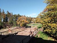 Olomouc - Svatý Kopeček