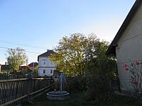 Třibřichy