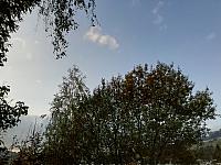 Skalité