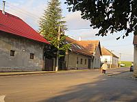 Třibřichy