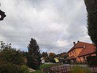 Olešná