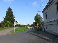 Třibřichy