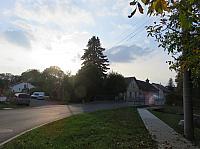 Třibřichy