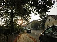 Třibřichy