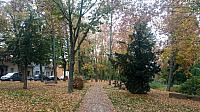 Kostelec nad Labem