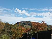 Zajíčkov