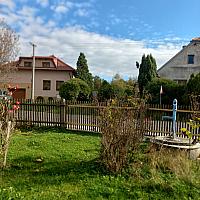Třibřichy