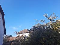 Olešná