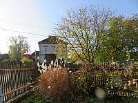 Třibřichy