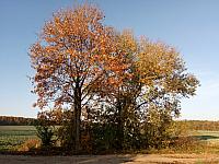 Lukovany
