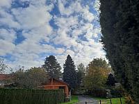 Olešná