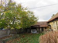 Třibřichy