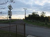 Třibřichy