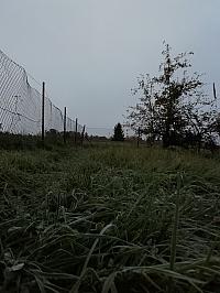 Skalité