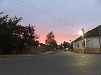 Třibřichy